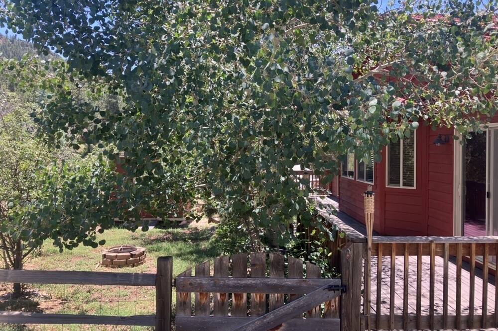 Photo of Outdoor in Forest Lakes