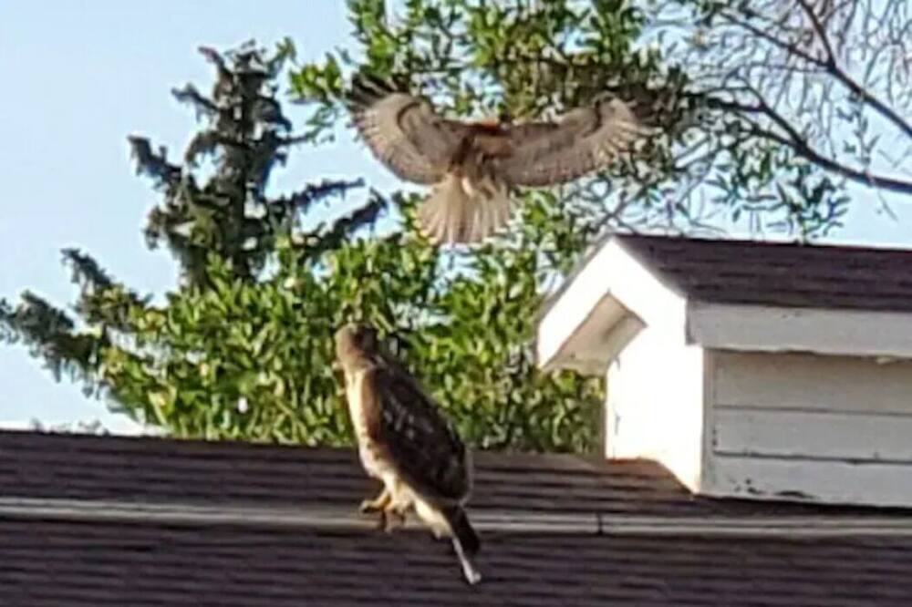 Photo of Others in Broomfield