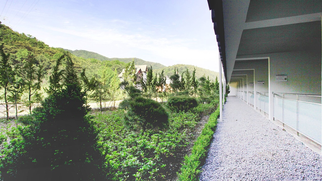 Photo of Others in Pocheon