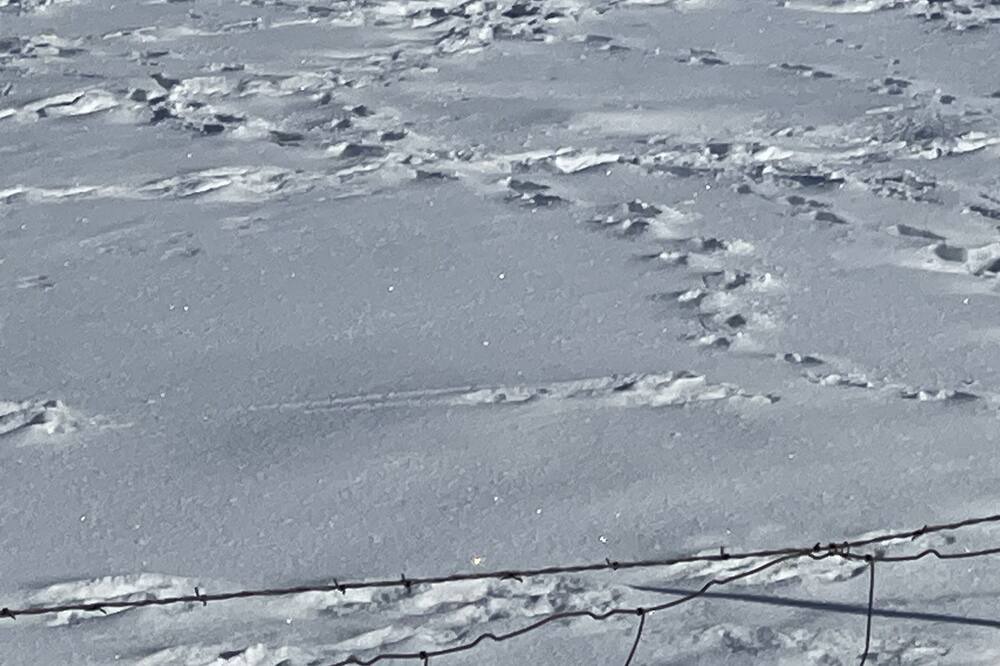 Photo of Others in Craig