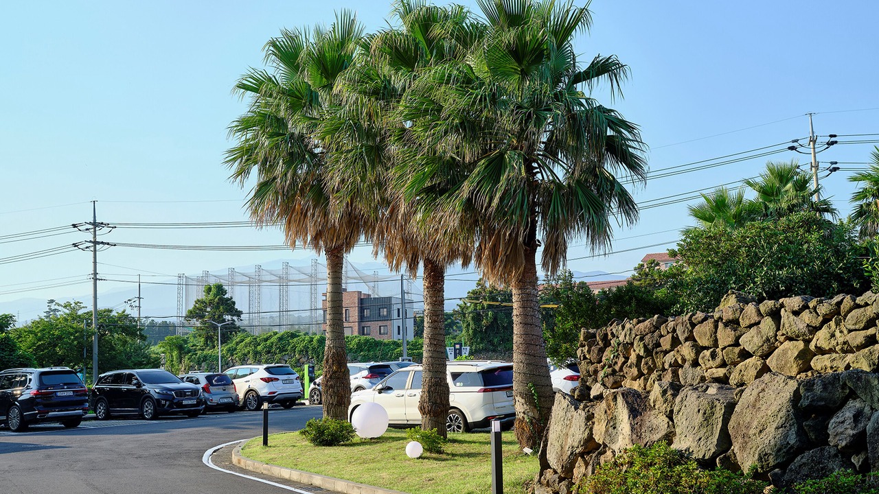 Photo of Others in Nohyeong-dong
