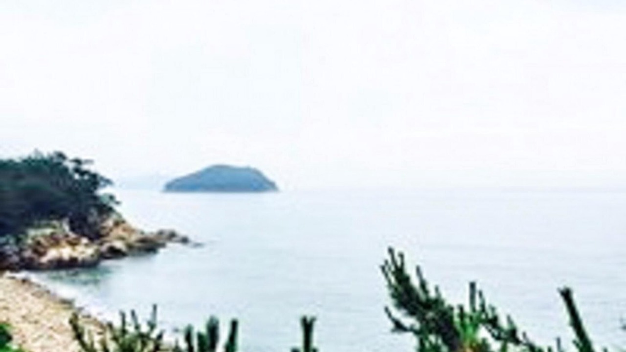 Photo of Others in Goheung