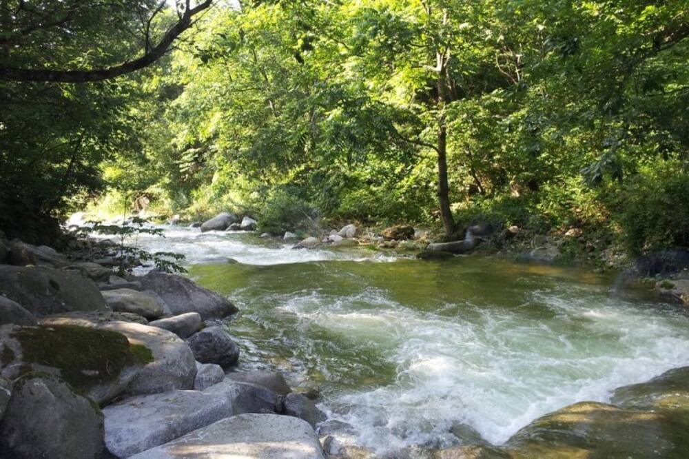 Photo of Others in Hongcheon
