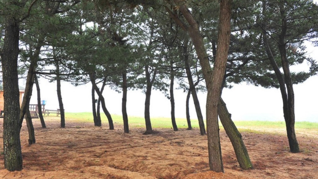 Photo of Others in Boryeong