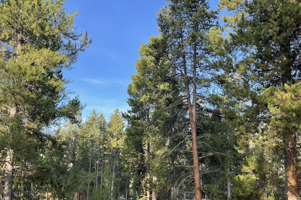Photo of Outdoor in Sunset Ridge