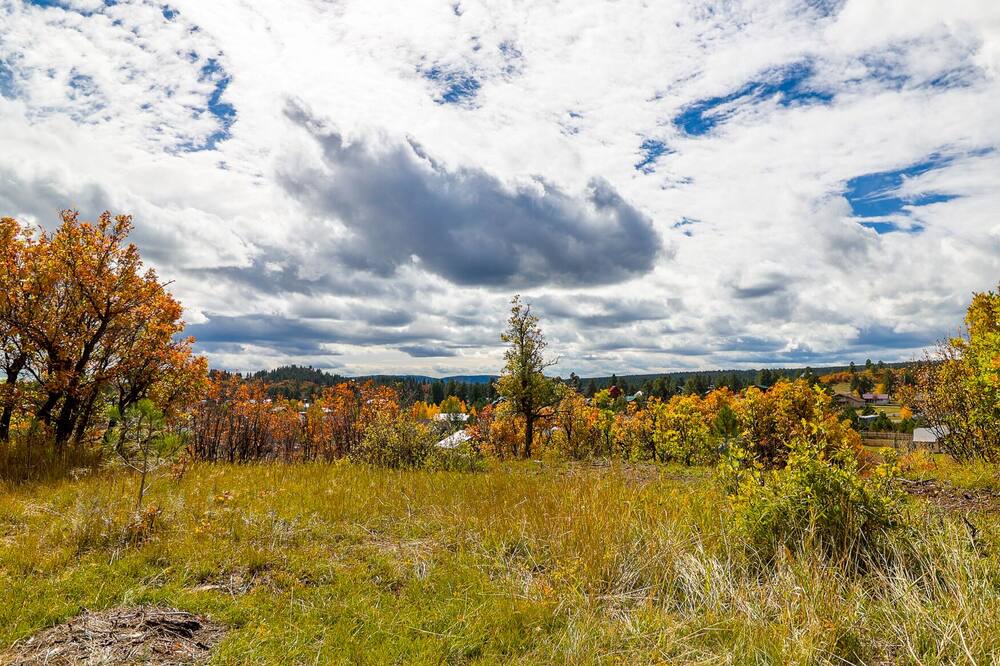 Photo of Others in Pagosa Highlands