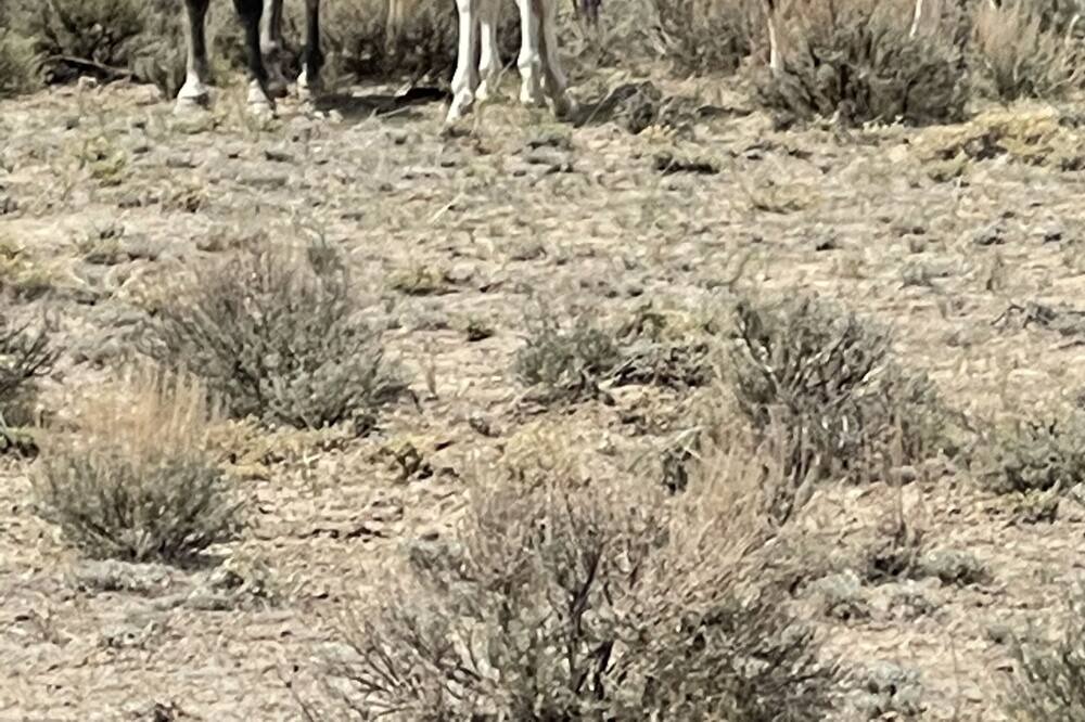 Photo of Others in Craig