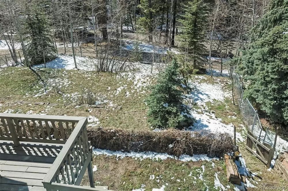 Photo of Outdoor in Evergreen