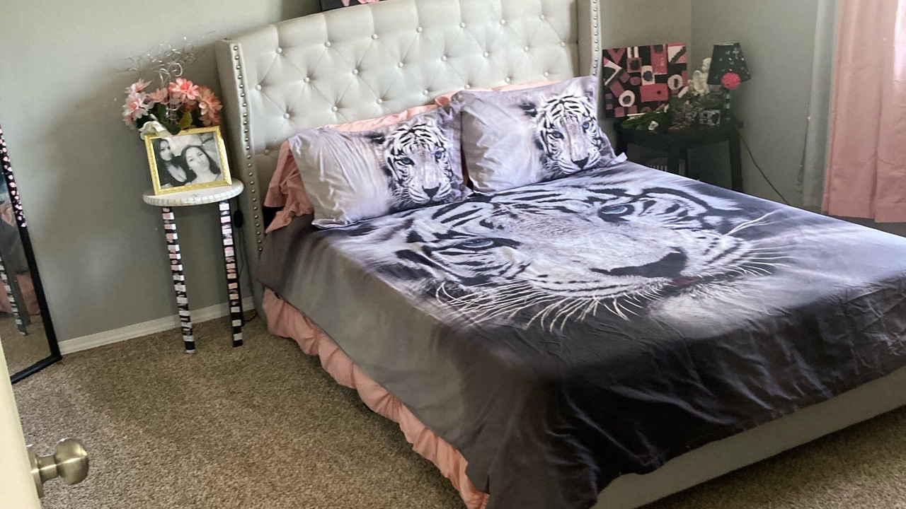 Photo of Bedroom in Northeast Colorado Springs