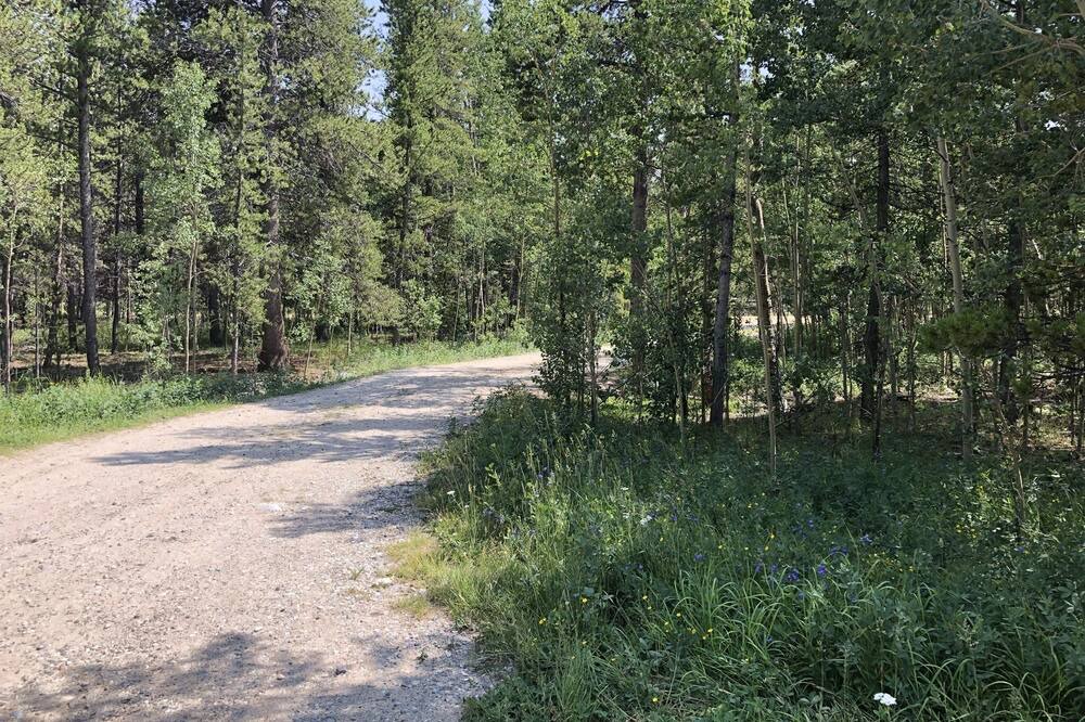 Photo of Outdoor in Fairplay