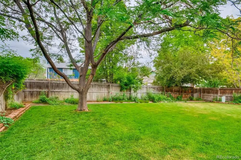 Photo of Outdoor in North Central Westminster