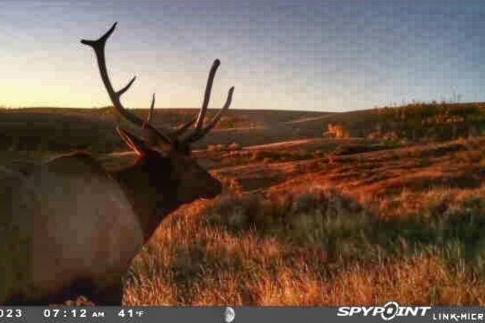Photo of Others in Burns