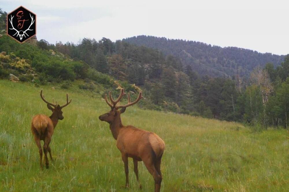 Photo of Outdoor in Park County