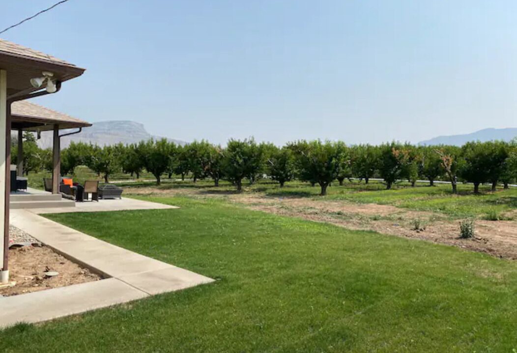 Photo of Outdoor in Palisade
