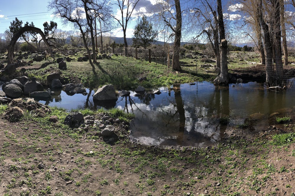 Photo of Outdoor in Mesa
