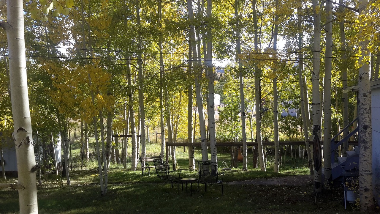 Photo of Outdoor in Cripple Creek