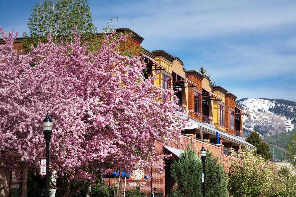 Photo of Outdoor in Steamboat Springs