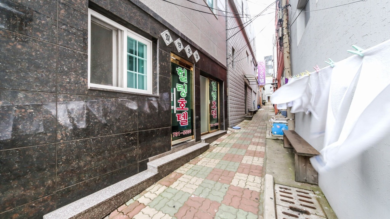 Photo of Outdoor in Ulleung-gun