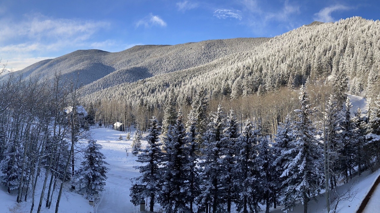 Photo of Outdoor in Evergreen