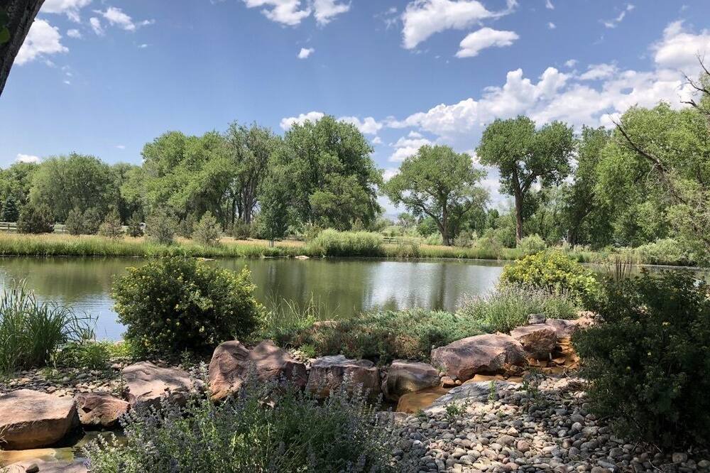 Photo of Others in Longmont