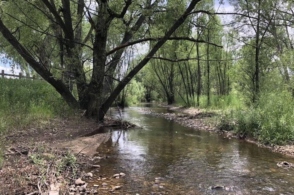 Photo of Others in Longmont