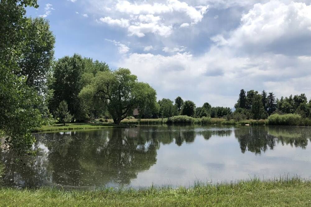 Photo of Others in Longmont