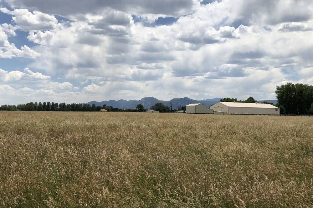 Photo of Others in Longmont