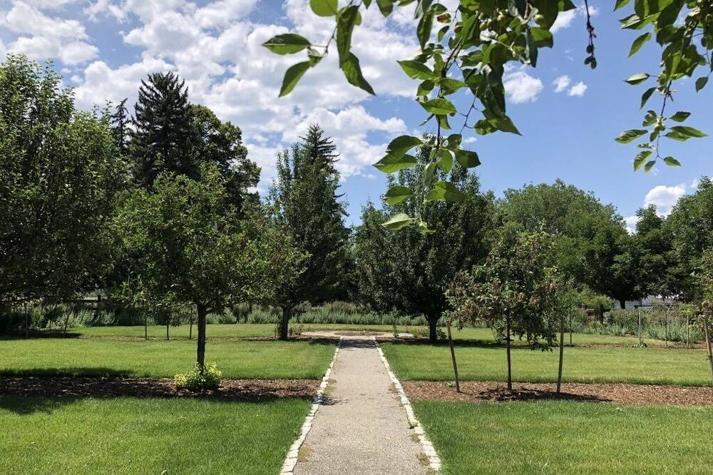 Photo of Others in Longmont