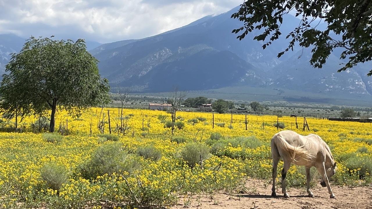 Photo of Outdoor in Arroyo Seco