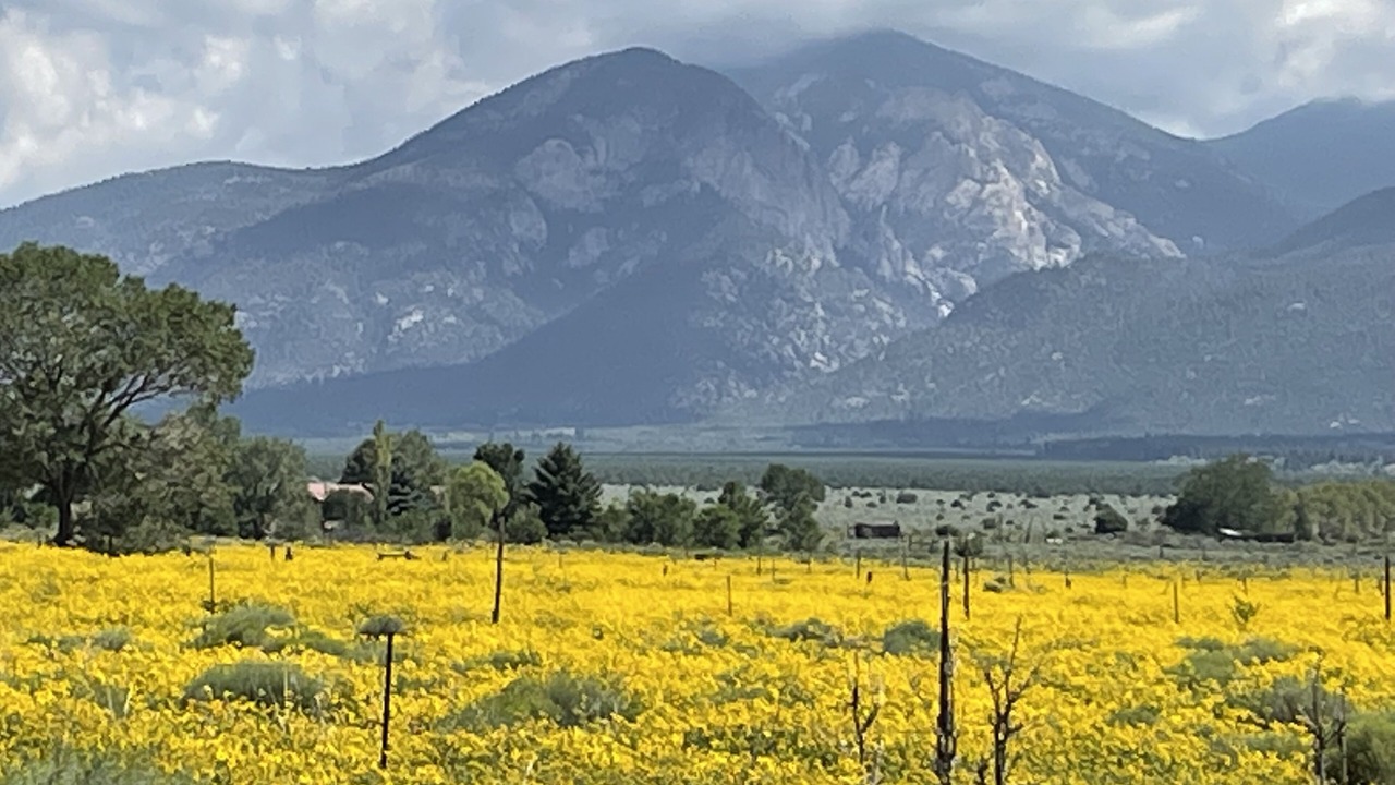 Photo of Outdoor in Arroyo Seco