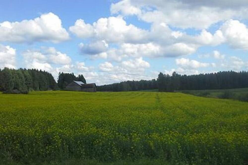 Photo of Outdoor in Kuopio