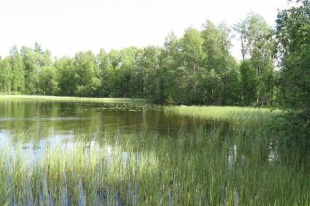 Photo of Outdoor in Kuusamo