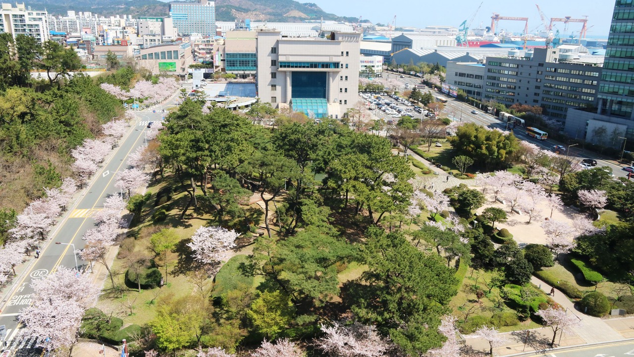 Photo of Others in Dong-gu