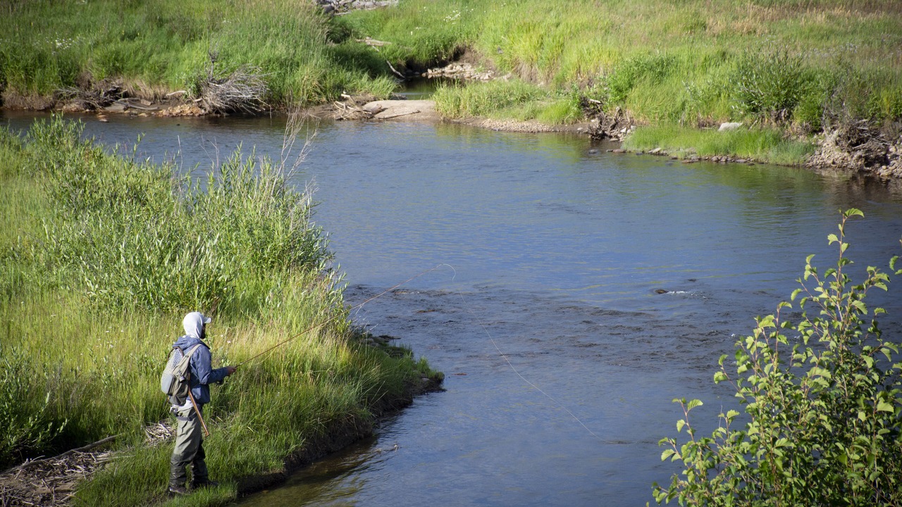 Photo of Others in Silvercreek