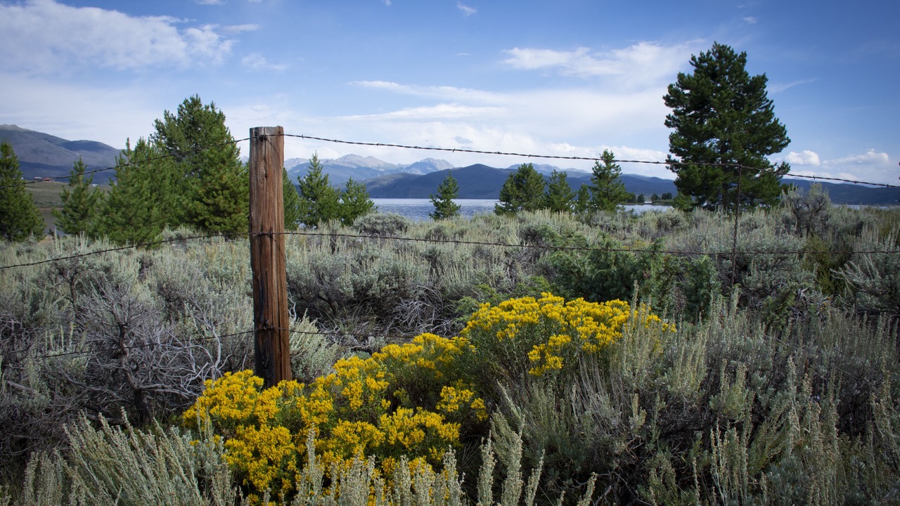 Photo of Outdoor in Silvercreek