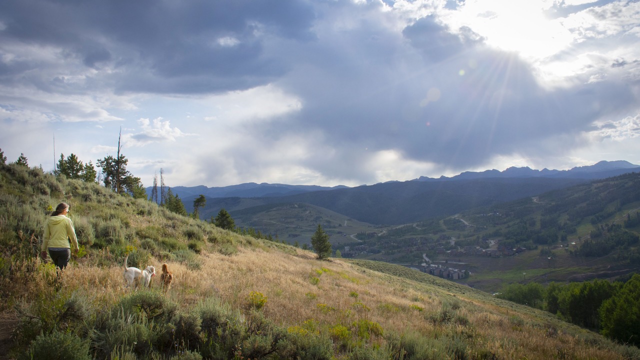 Photo of Outdoor in Silvercreek