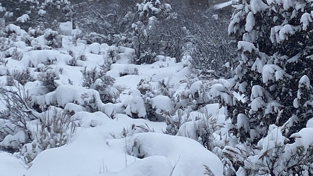 Photo of Outdoor in Edwards