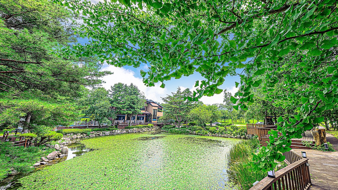 Photo of Outdoor in Gangneung