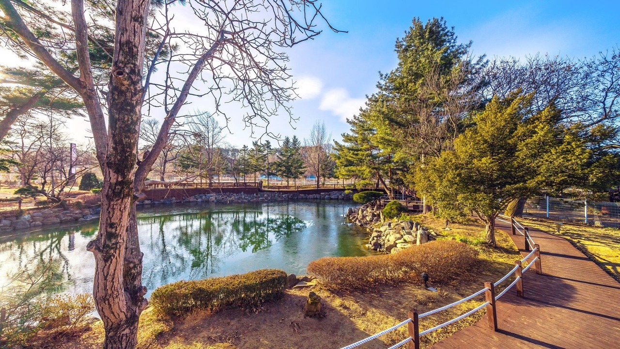 Photo of Outdoor in Gangneung
