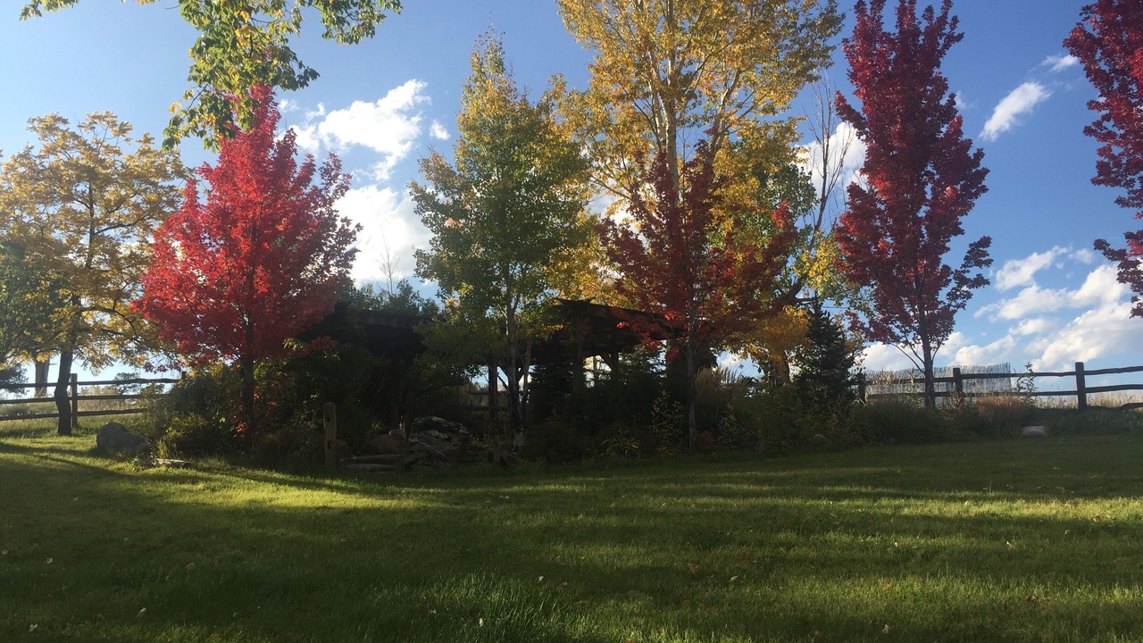 Photo of Outdoor in Ignacio