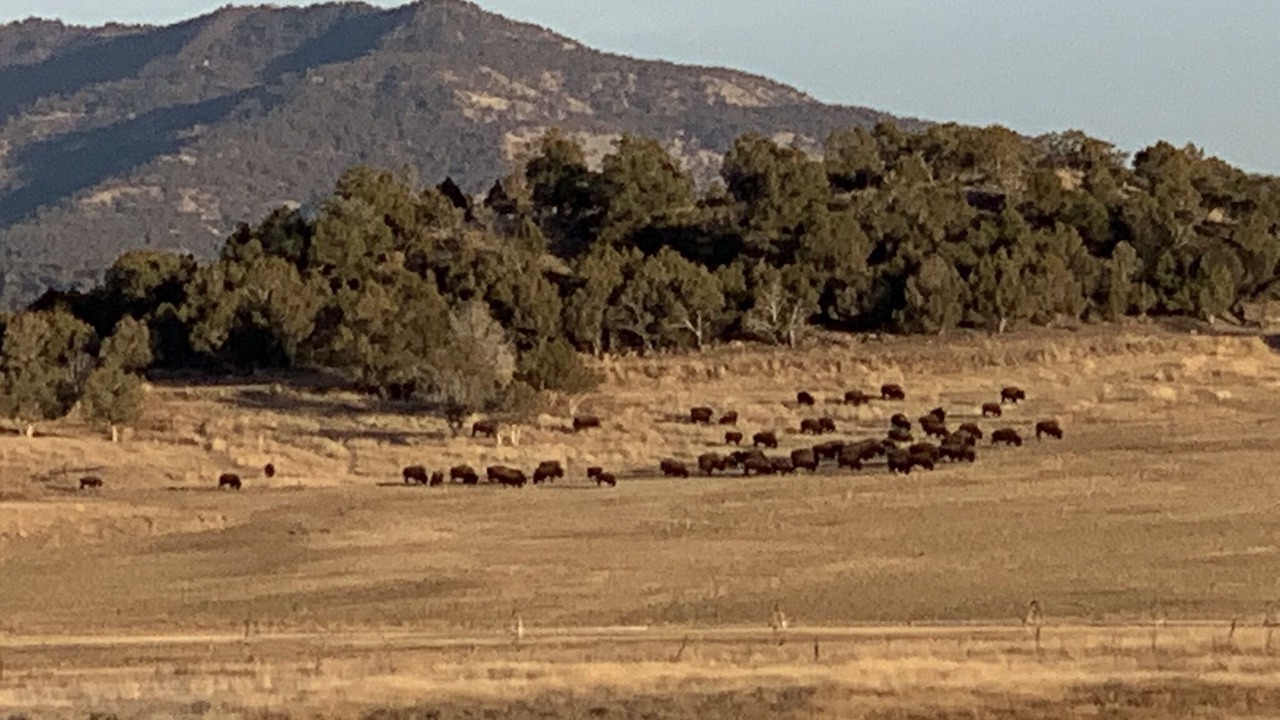 Photo of Others in Ignacio