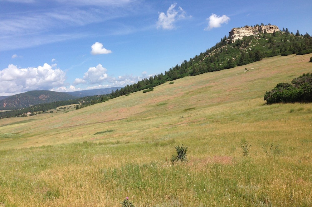 Photo of Others in Larkspur