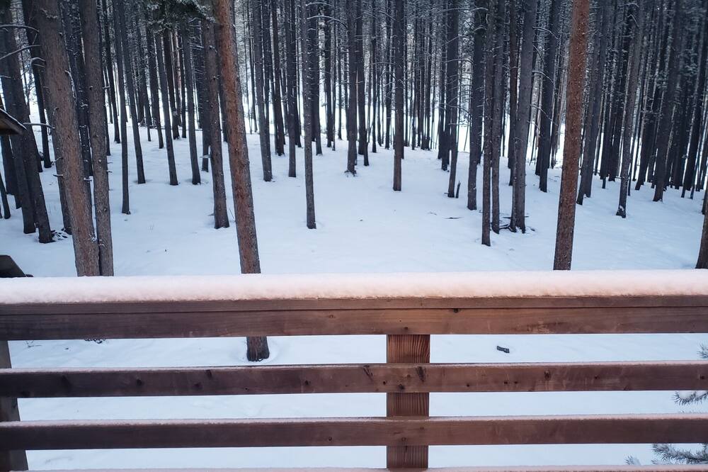 Photo of Outdoor in Evergreen