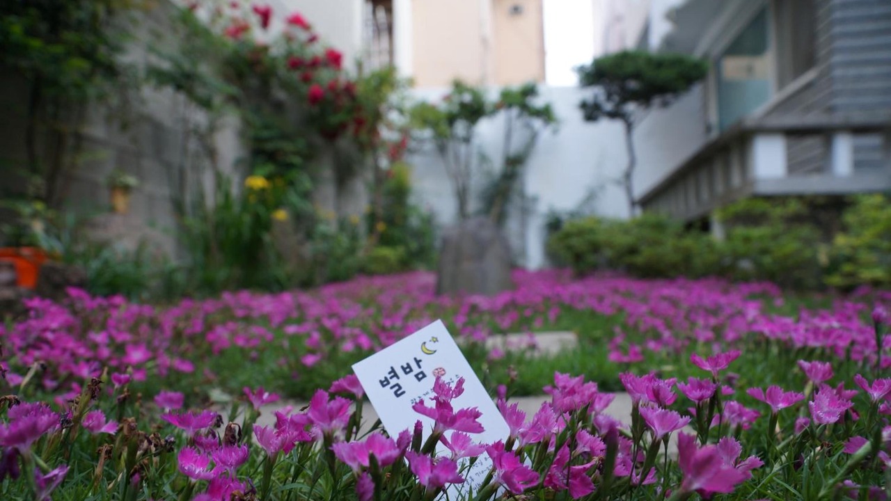 Photo of Outdoor in Chunghung