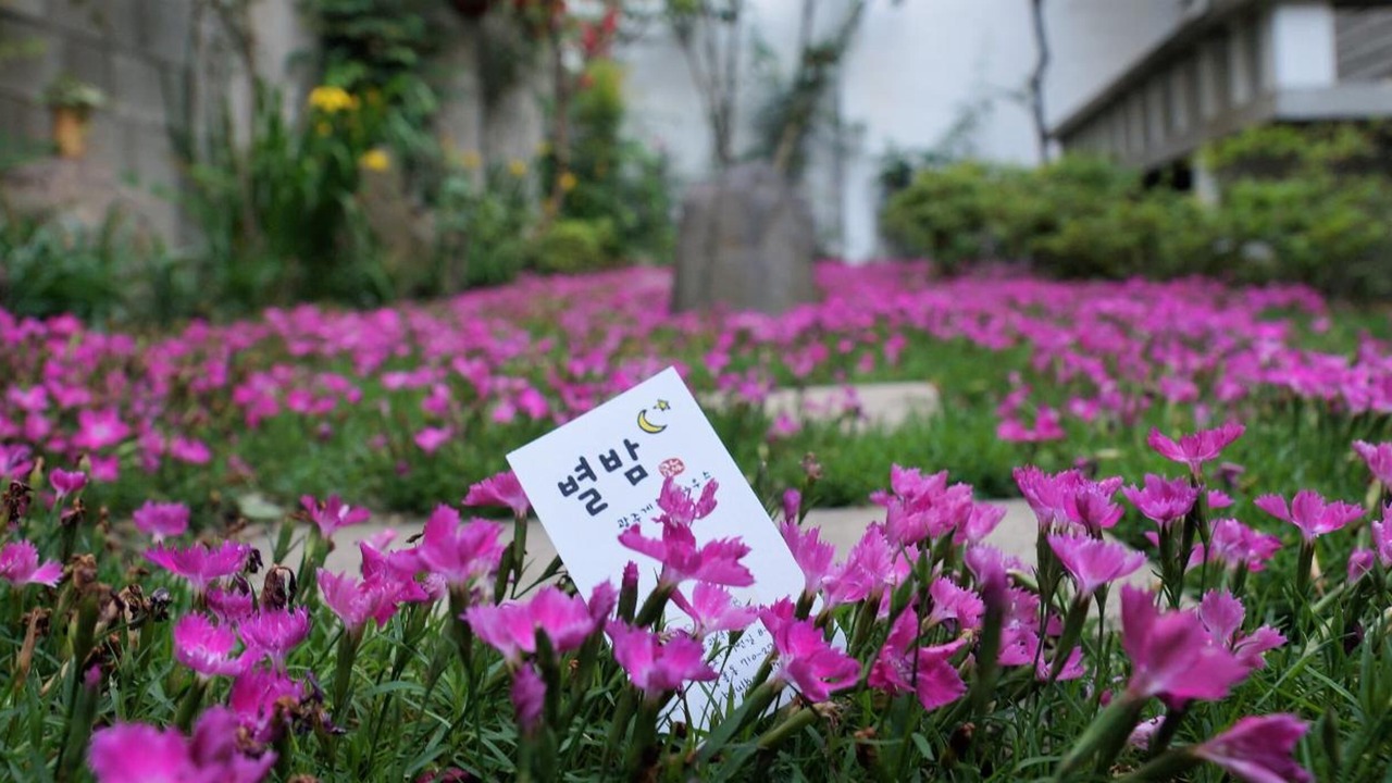 Photo of Outdoor in Chunghung
