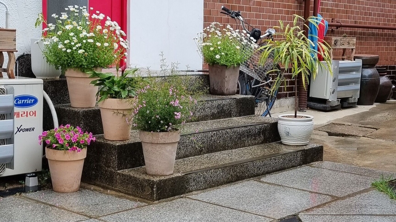 Photo of Outdoor in Seongnae-dong