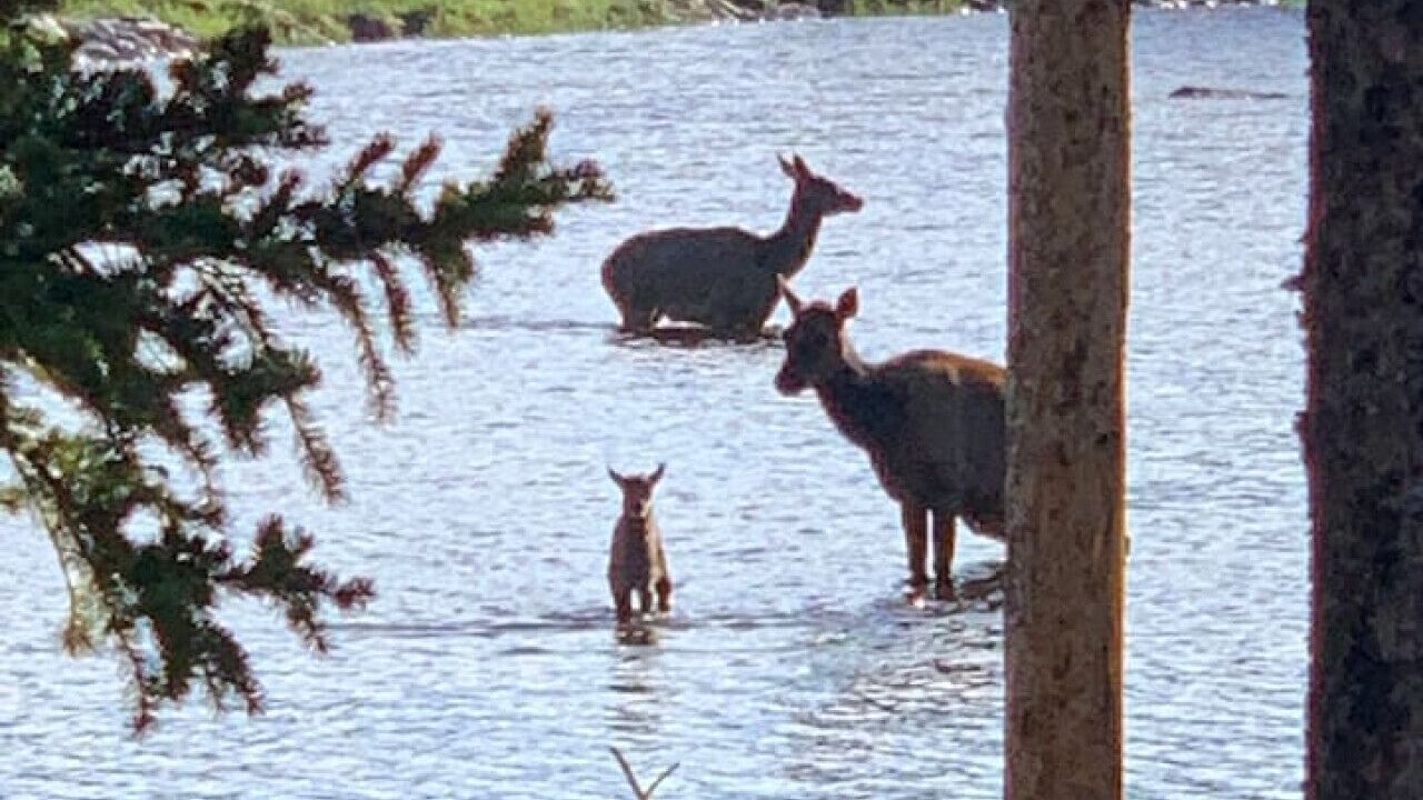 Photo of Outdoor in Estes Park