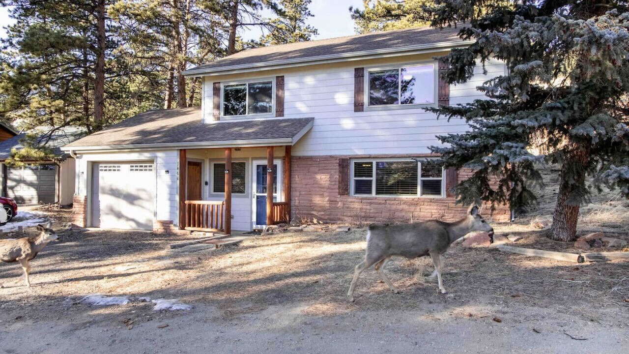 Photo of Outdoor in Estes Park