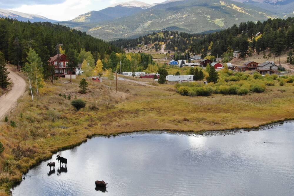 Photo of Others in Bailey