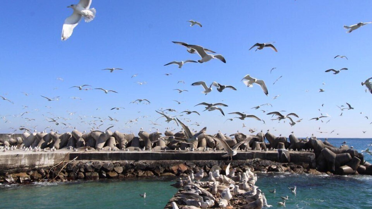 Photo of Outdoor in Yeongdeok